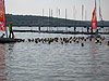 Mhnesee Triathlon 2007 (23984)