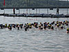 Mhnesee Triathlon 2007 (23985)