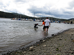 Foto vom Waldecker Edersee Triathlon 2011 - 50919